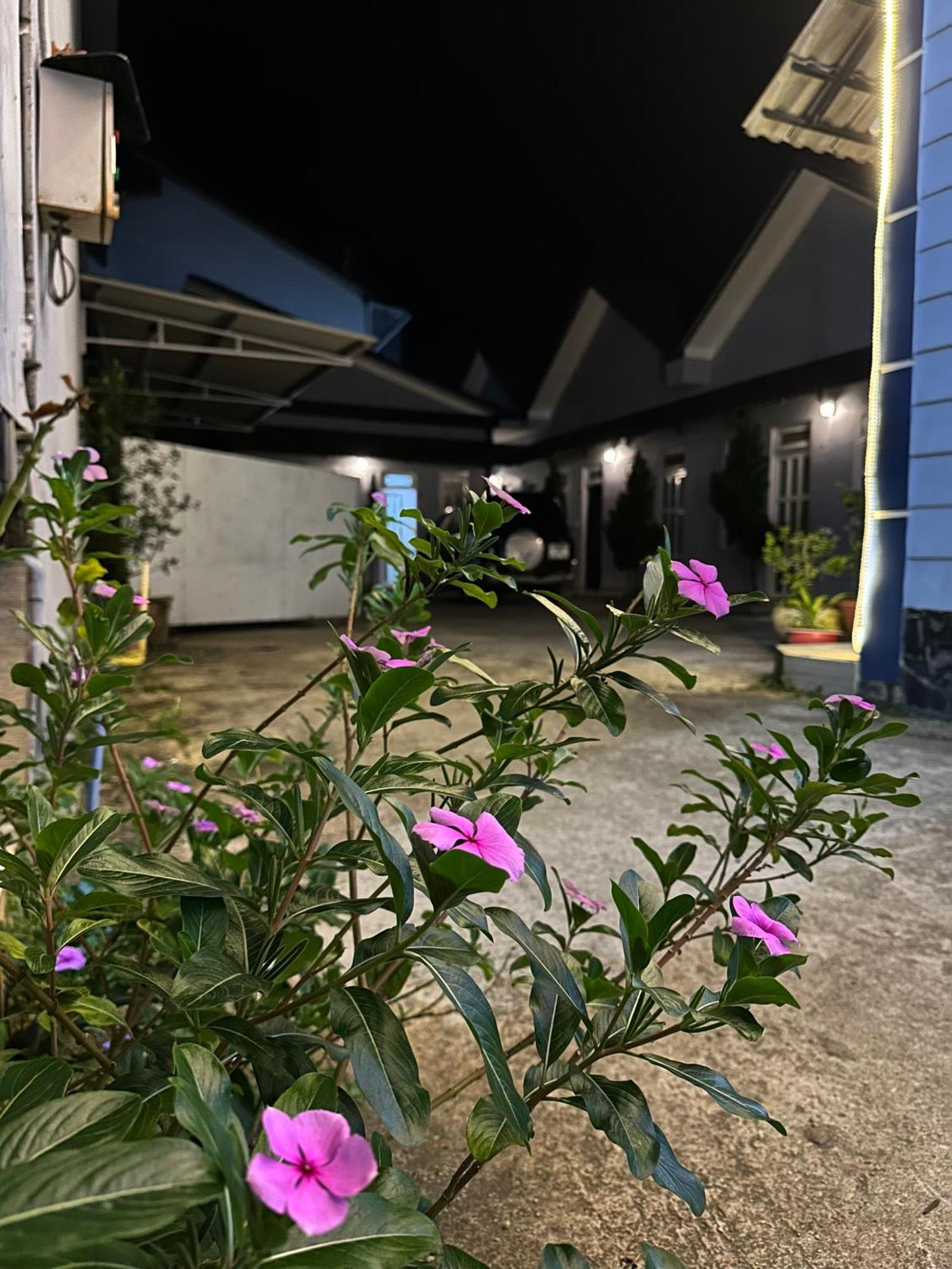 באו לוק Motel Khanh Vy מראה חיצוני תמונה